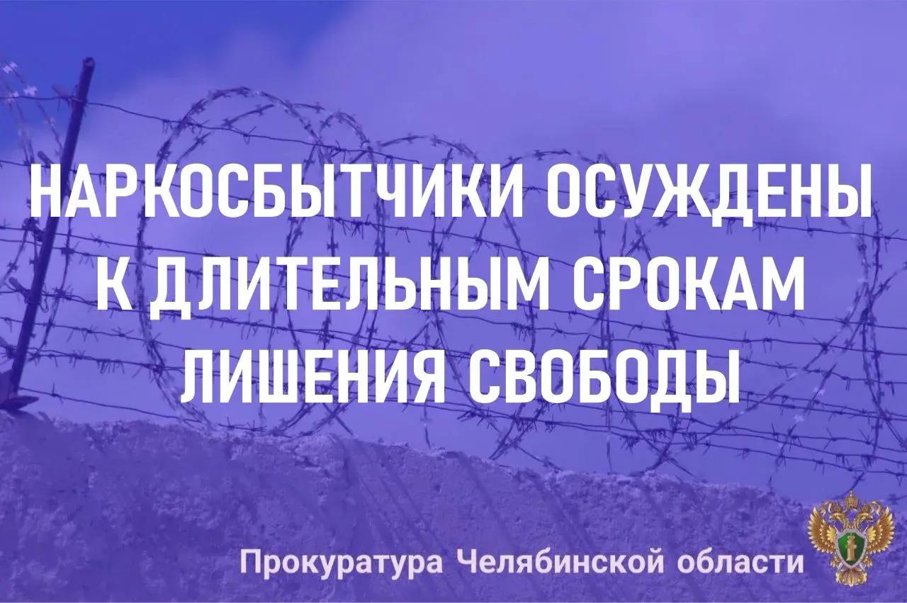 Советский районный суд г. Челябинска вынес приговор по уголовному делу в отношении жителя Челябинска и жителя Екатеринбурга