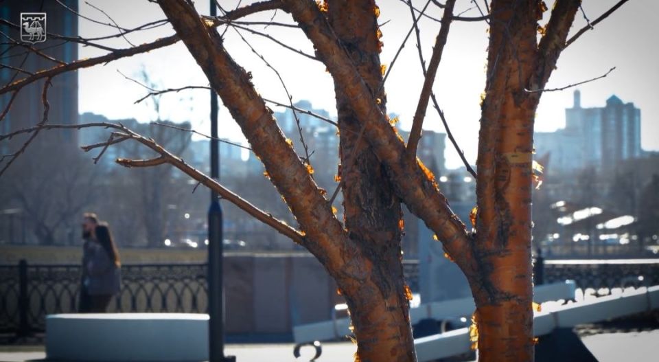 ������� ����� �������� � ���� �����!