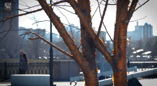 ������� ����� �������� � ���� �����!