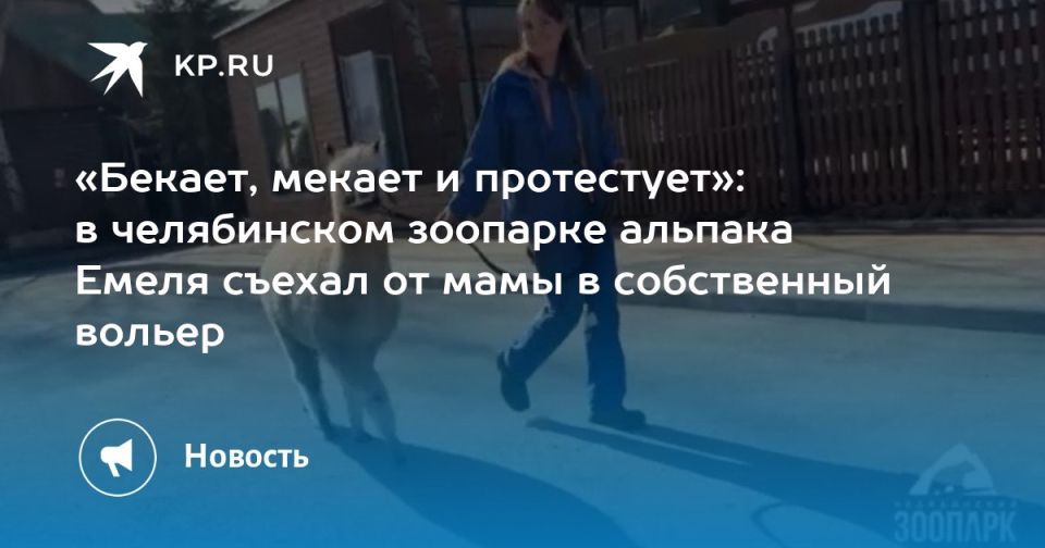 �������, ������ � ����������: � ����������� �������� ������� ����� ������ �� ���� � ����������� ������