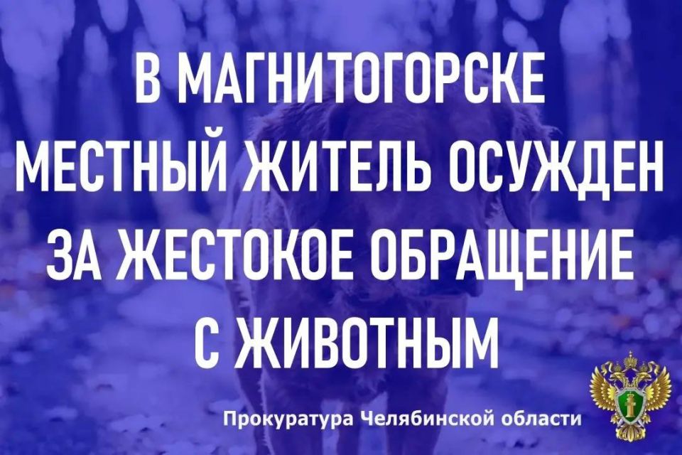 ����������������� �������� ��� �. ������������� ����� �������� �� ���������� ���� � ��������� 55-������� �������� ������
