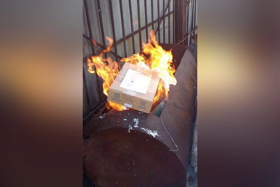 ����, ������: � �������� � ���� ���������� ���������