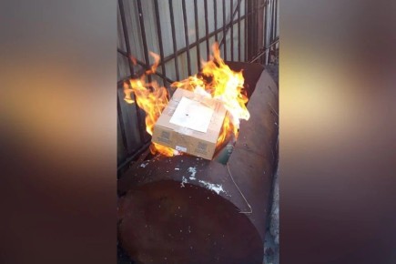 ����, ������: � �������� � ���� ���������� ���������