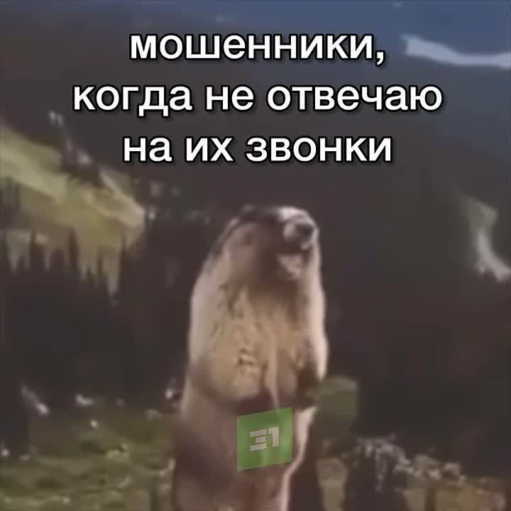 �� ��� ������ ����������� ������ ���������� 500 ��� ���