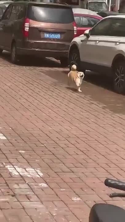 #������������31. ������� ������ 5-�������� ����� � ������� ������ ���������� ���� ��� �����, ��������� �������� � ����������� ��������