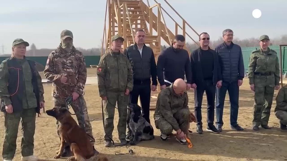 ������ ������ �� ����������� ������� ����������� ������� � ��������