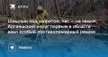 Шашлык под запретом, лес — на замке: Аргаяшский округ первым в области ввел особый противопожарный режим