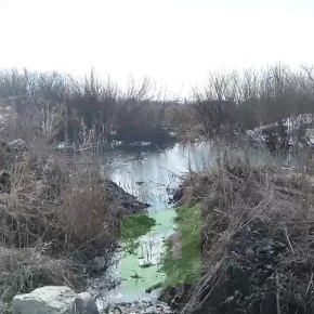 ������ �� �����������. � ���