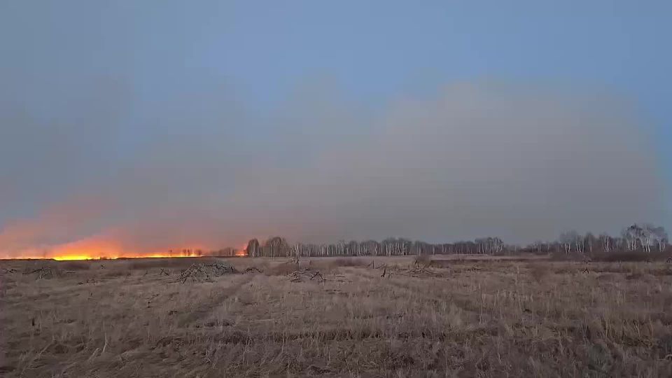 ����� ������������ ������ ��� �����������