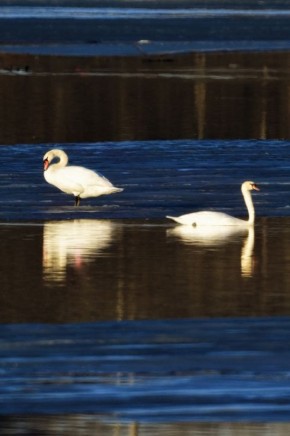 ������ � �� ������ �������� ������������ � ���� ����!