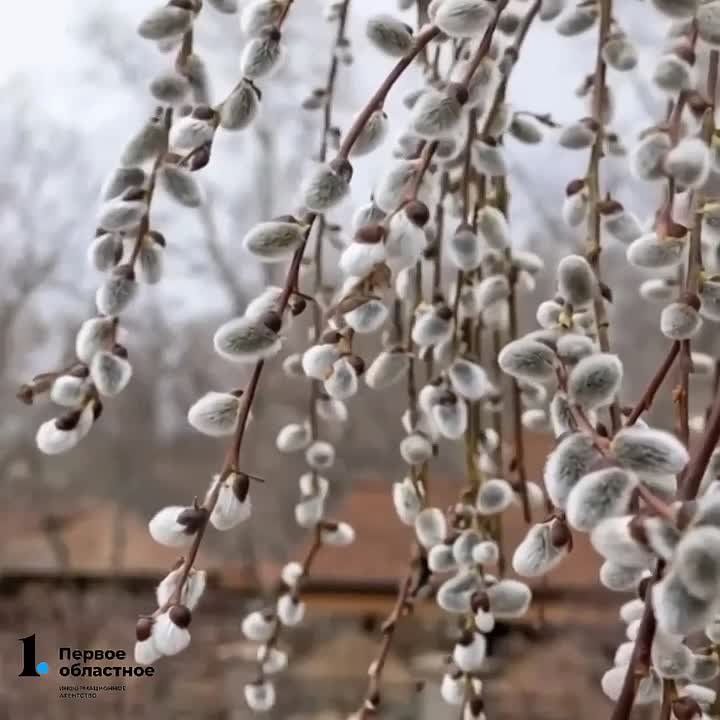 ����� � ���������� ��� ��������