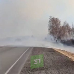 Из-за пожара под Челябинском перекрыли трассу