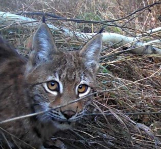 ����� �������� ����������� ��������� ���� �� ���������� ���� ����������