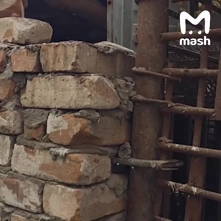 Самая русская история с Урала: мужик завёл медведя в частном доме в челябинской деревне и пропал без вести на фронте