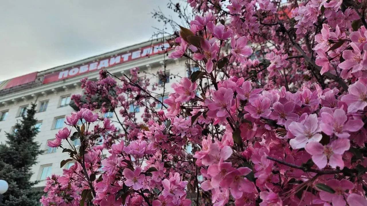 Майские праздники 2026: как будут отдыхать и работать жители Челябинска