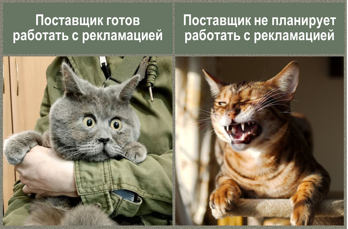 Как выбрать надежного поставщика растений: что говорят покупатели