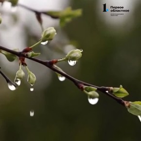 ������ ���� � ����������. ����� ��� �������� ����� ������ ������, � �� ����� ����� +5��