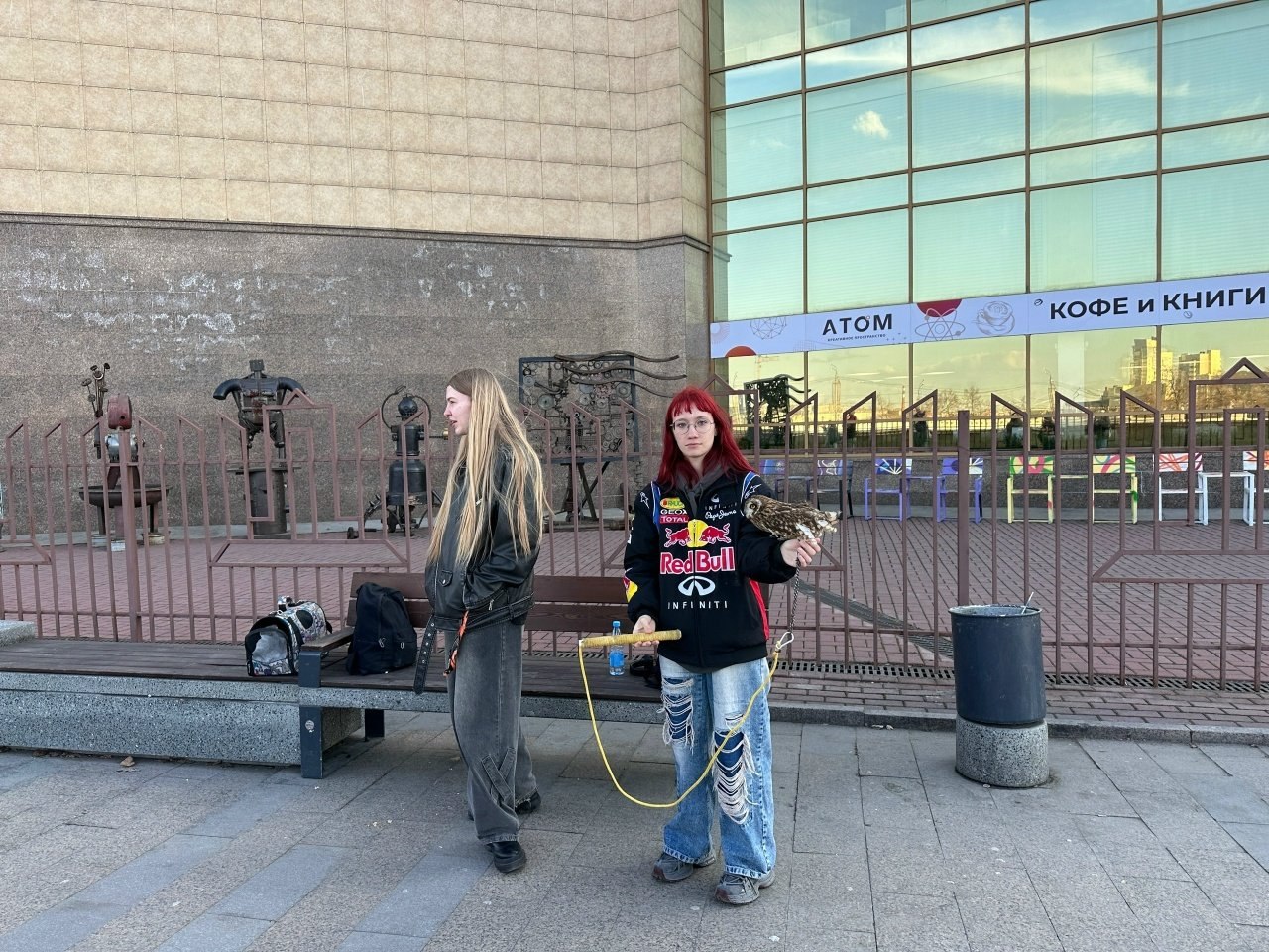 Совы слепнут и умирают: в Челябинске на набережной снова развернулись фотографы-живодеры