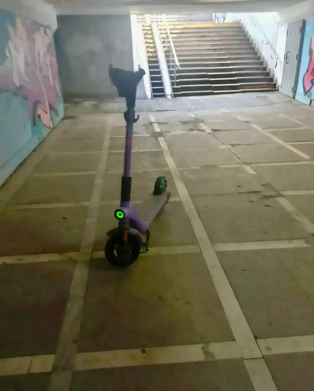 ����� ���������� ������ ������������ ��������� ��������