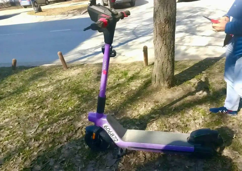 ����� ���������� ������ ������������ ��������� ��������