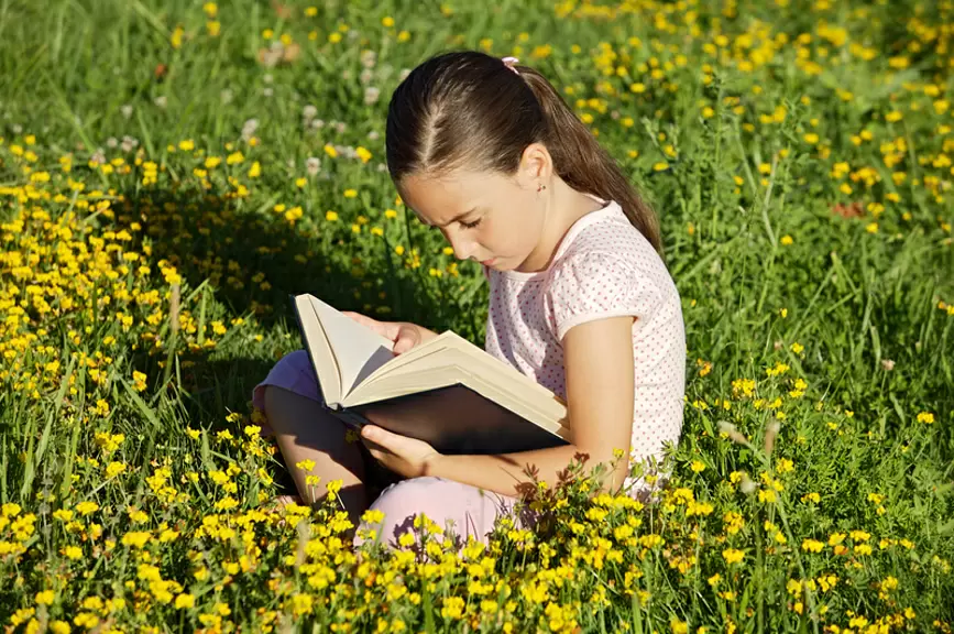 Современные подходы к земледелию: создайте свою уникальную методику