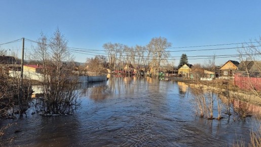 ������� � ������� ������ ���� �� ����