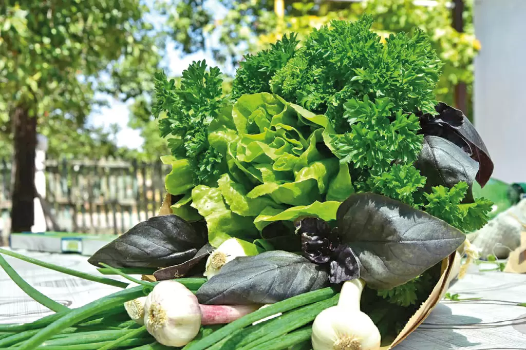 Как встретить Новый год без лишних калорий: советы нутрициолога