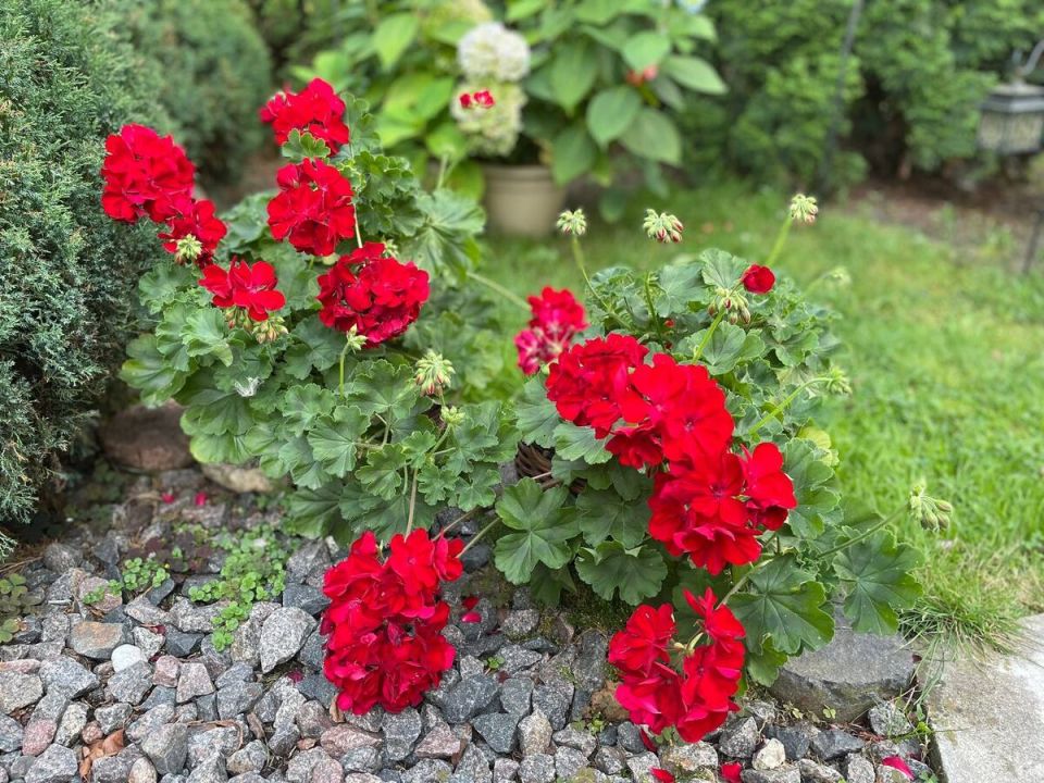 ������������ ������ �� ��������������: �������, ������� ������� ������� ��������