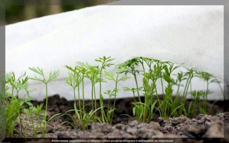 ����������� ������: ��� �������� ������ �����