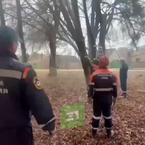 ����������� ��������� ������������ �� ���������