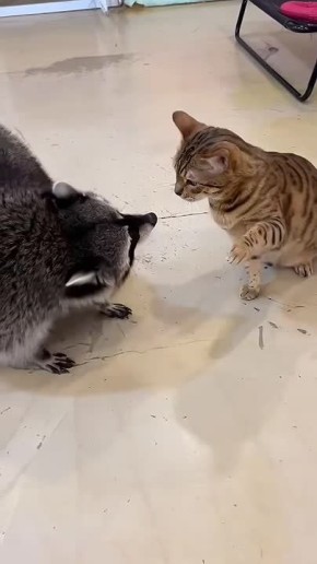 #СДобрымутром31. Непонятно, чего сегодня хочется: то ли сна и покоя, то ли кипиш устроить Чтоб суббота прошла на ура, советуем попробовать и то, и другое