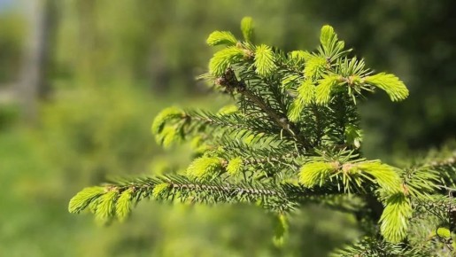 В Челябинской области в выходные потеплеет до +22°C и ожидаются грозы