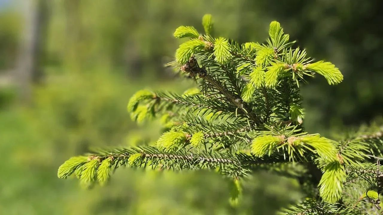 В Челябинской области в выходные потеплеет до +22°C и ожидаются грозы