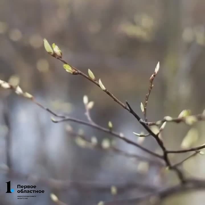 ����� �������� ������� ������� �������� ������!