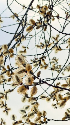 � ������ �����, �������!. ����� ��� �������� �������� ��� �������!