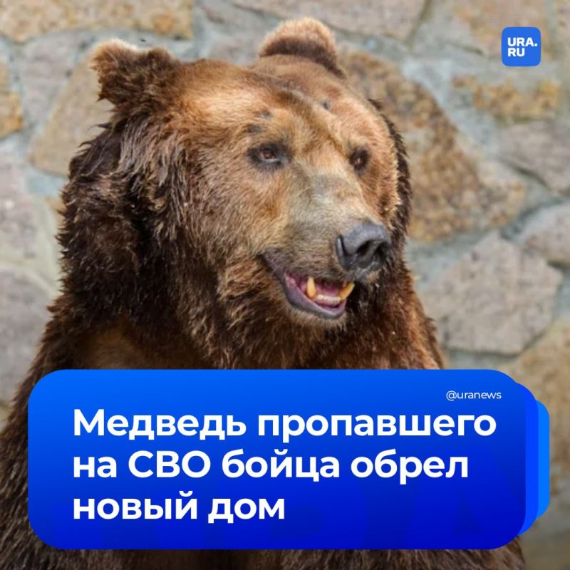 ������������ ������� ������� ������: �� �������� � ���-���� �����������