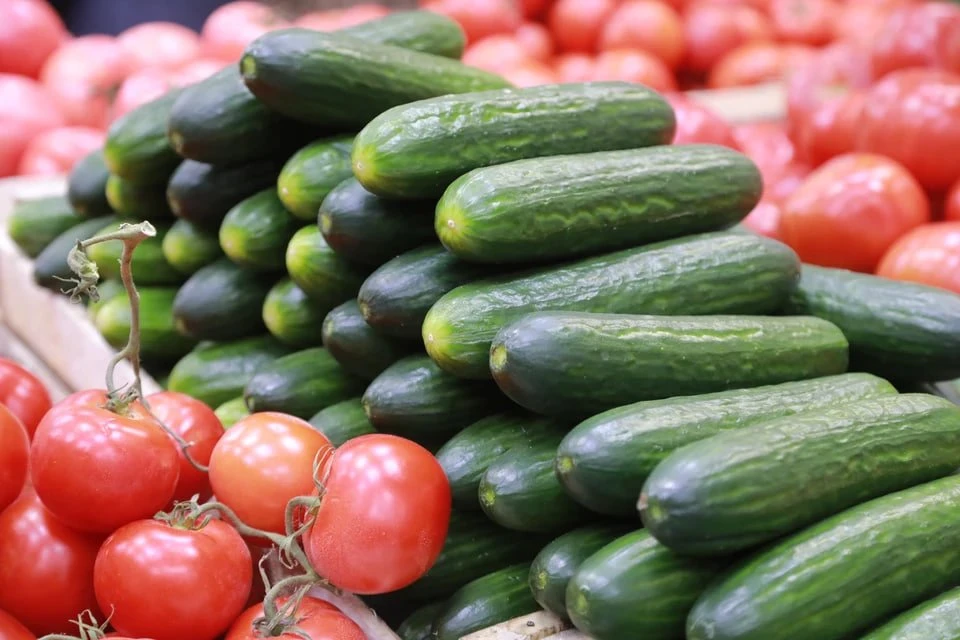 Вдвое больше обычного: в Челябинскую область из Казахстана ввезли больше тысячи тонн еды