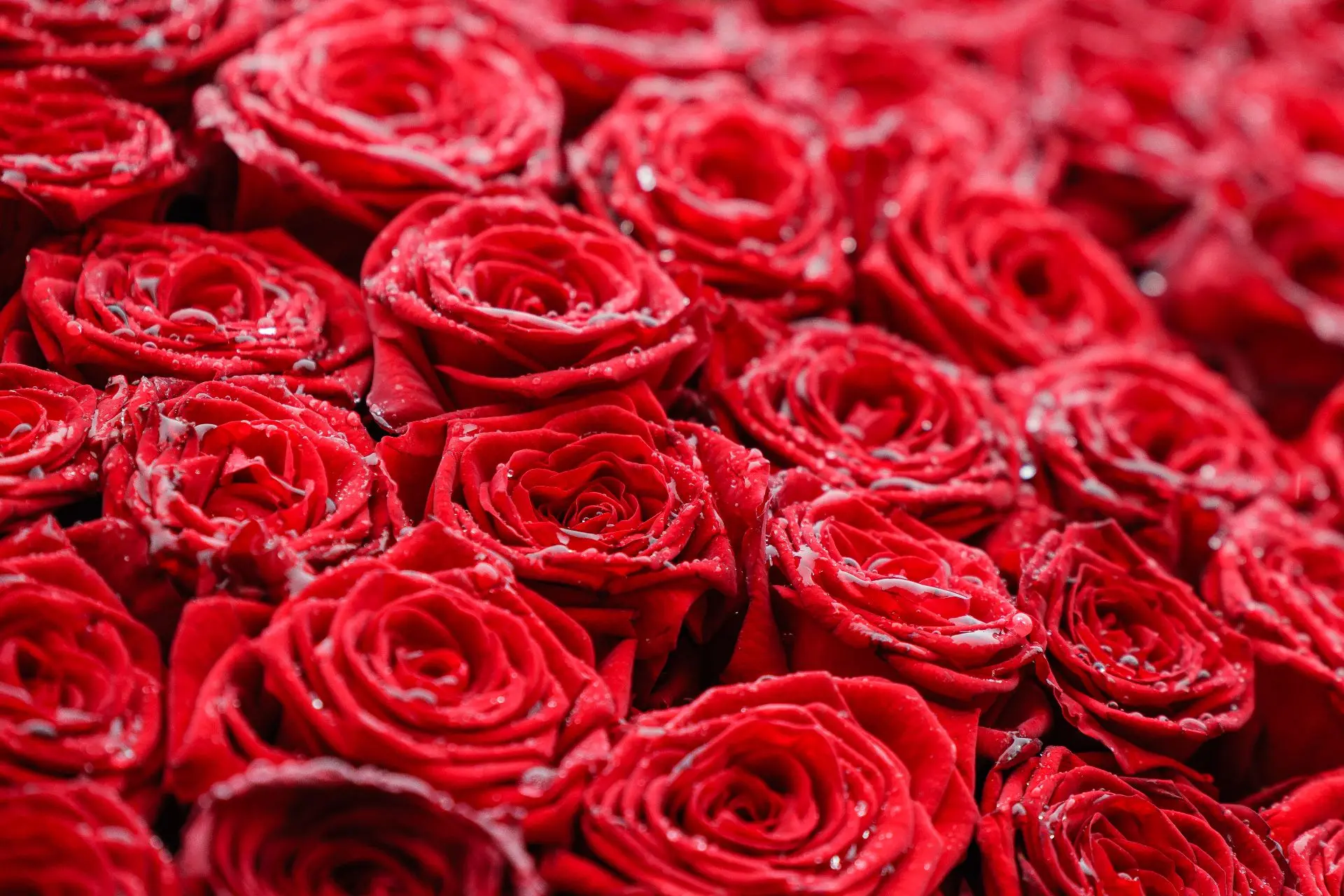 Челябинцы сделали тысячи селфи с огромными пасхальными яйцами Челябинцы сделали тысячи селфи с огромными пасхальными яйцами