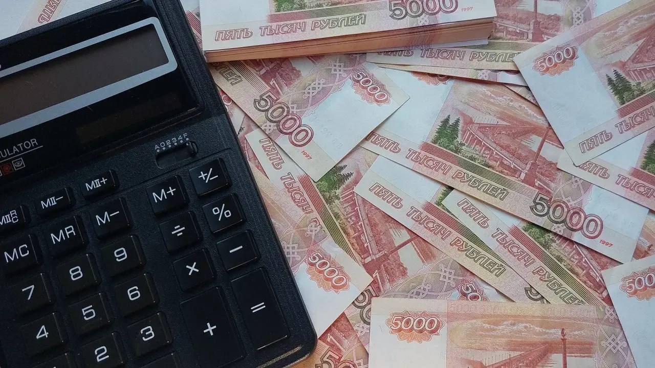 ВЦИОМ: Большинство россиян хотят отложить крупные покупки