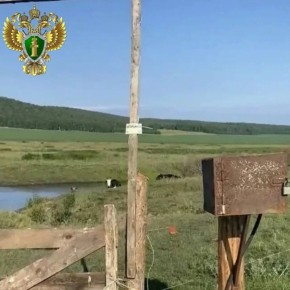 � ������ ������ �� ���� ��������� ��� ������� ��������� ���� � ��������� ��������������� �� ����������� ���� ������������������