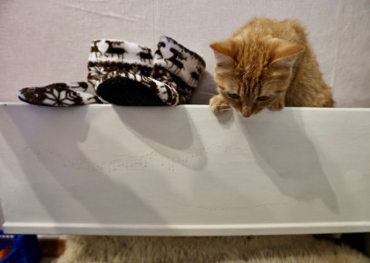 ��������� � ���������� ��������� ��������� � 22 ������