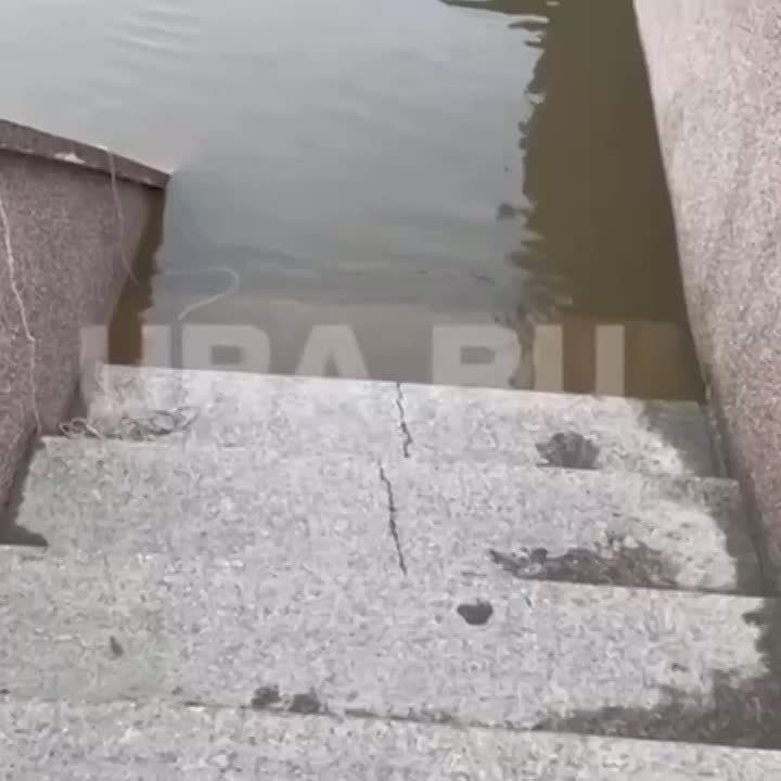����� � ������� ������� ���������� ����� �������� �������
