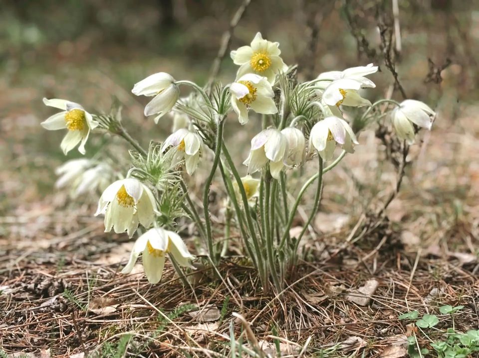 �����. �� ���� �����. ������� ��������� ��������