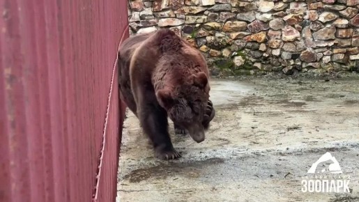 ������� ������. ���������� ���������� ������� � �������� �� �������