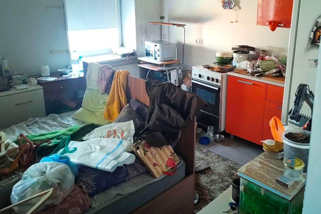 Ипотечную должницу с 7 кошками выселили из проданной квартиры в Челябинске