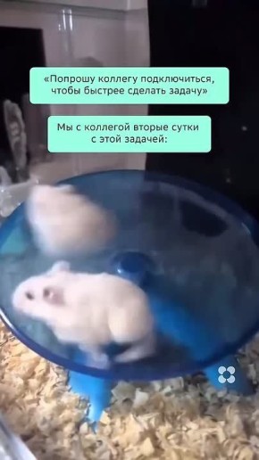 #������������31. � ��� �������, ���� ������ ������, � ��� ����� ������ ����������� ������, ������������������ ����� � ���������� ������� ��������