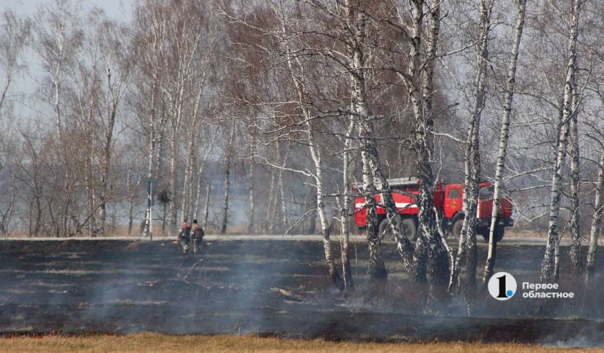 Из-за угрозы ландшафтных пожаров в Челябинской области усилят работу патрульных групп