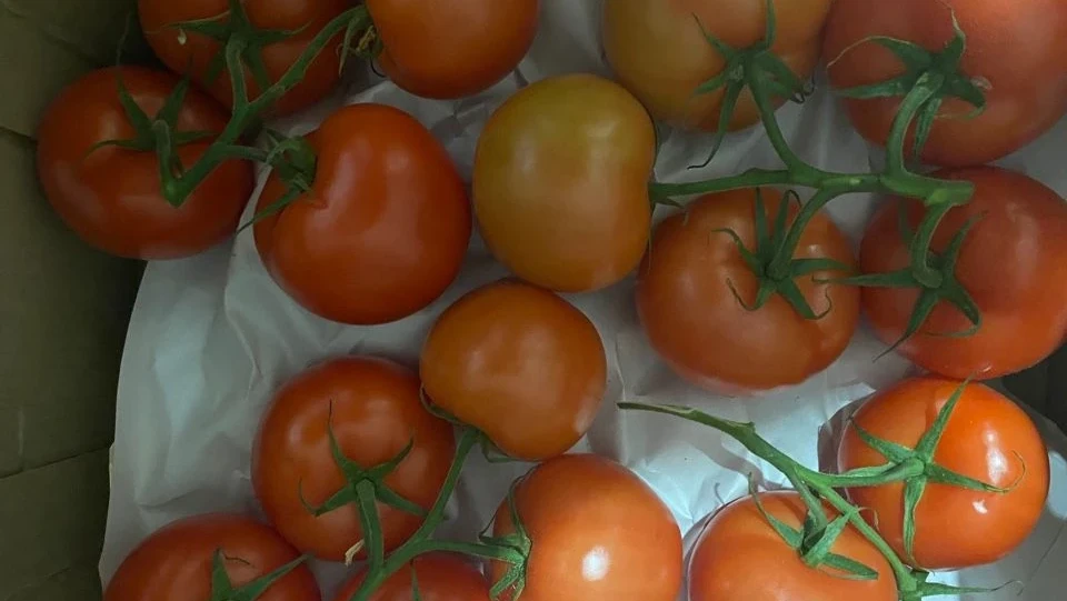 Почти 28 тонн зараженных овощей и зелени уничтожат в Челябинске