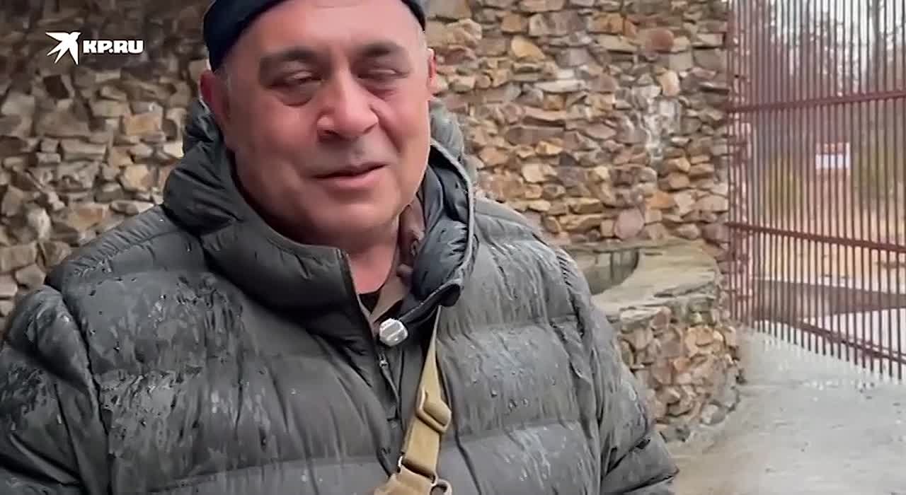 «Теперь это самый счастливый медведь на свете»: спасенный медведь Степан пришел в восторг от нового дома