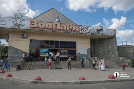 ����������� ������� ��������� �� ������ ����� ������ � 15 ������